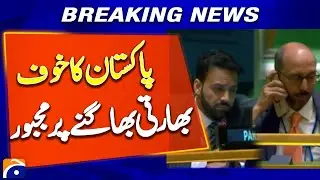 'Regional bully': Pakistan hits back at India in UN spat over terrorism claims | Breaking news
