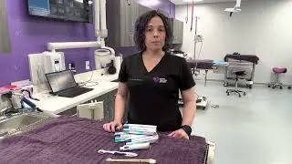 Toothbrush and toothpaste choices for cats and dogs at Mainely Veterinary Dentistry in Windham Maine