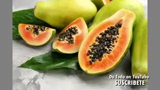 Carica Papaya Beneficios