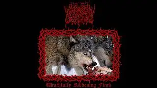 Appalachian Fullmoon (US) - Wrathfully Ribboning Flesh (Demo) 2026