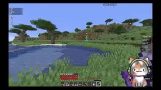 HYPIXEL UHCC WOOO