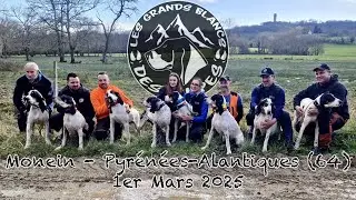 Brevet de chasse à Monein (64) avec les Grands Blancs des Alpes et les Grands Blancs des Volcans