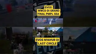 EVOS WWCD DI GRAND FINAL PMPLSEA &bull; EVOS MENANG ZONA DI AKHIR #EVOSREBORN#PMPLSEA#INDOPRIDE#shorts