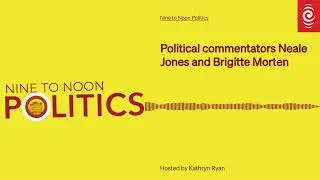 Political commentators Neale Jones and Brigitte Morten | Nine To Noon Politics