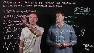 Видеообзор статьи лаборатории TGF (Graham et al., 2025 Advanced Functional Materials)