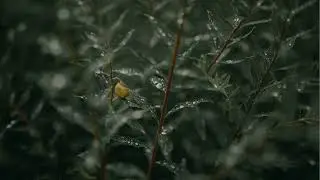 Soft Breathing Waves 🌫️ | Minimal Ambient Piano, Pads & Distant Bells (All-Day Calm)