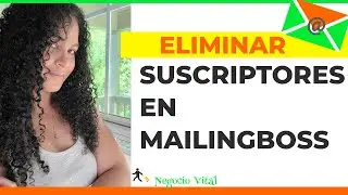 &iquest;𝗖𝗼́𝗺𝗼 𝗘𝗟𝗜𝗠𝗜𝗡𝗔𝗥 𝘀𝘂𝘀𝗰𝗿𝗶𝗽𝘁𝗼𝗿𝗲𝘀 𝗗𝗲 𝗠𝗔𝗜𝗟𝗜𝗡𝗚𝗕𝗢𝗦𝗦? 2021