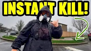 Winter Weeds & Moss Instant Kill! Products I use for Fast Results!