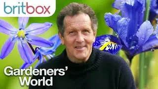 How To Keep Your Garden Blooming With Flowers Throughout Winter | Gardeners' World 2020