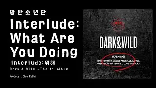 BTS (방탄소년단) - Interlude - What Are You Doing (Interlude - 뭐해) [LYRICS HAN-ROM-ENG]