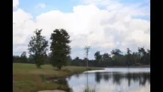 Harper Property