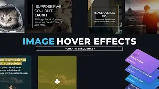 Top CSS Image Hover Effects