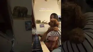 i&rsquo;ve always to learn the piano! it&rsquo;s such a beautiful instrument☺️