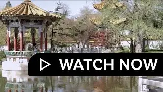 China Garden Zurich
