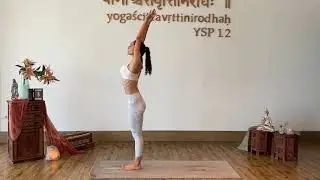 Vinyasa Krama - El Arte de Fluir, Clase multinivel impartida por Rafael Cervantes