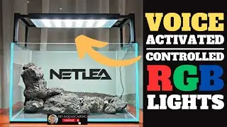 Обзор светильников Netlea AT5: RGB-подсветка для аквариума с голосовым управлением - светодиодные...