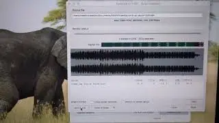 The Sauce plugin vs Reaper pitch help please!