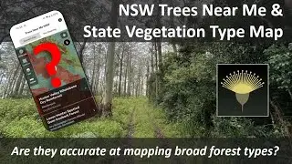 NSW State Vegetation Type Map (Trees Near Me): is it accurate at mapping broad forest types?