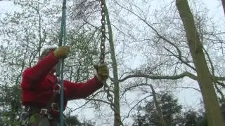 Tuin Project-HD 720p Video Sharing.mov