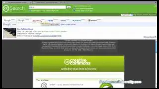 How to use Creative Commons to find free images, audio and video for your website