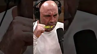 Джо Роган научит вас драться