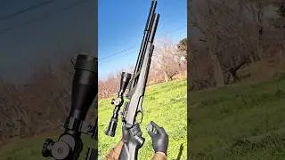 TRX PCP Air Rifle | Reliable Power, Consistent Accuracy #airgun #airsoft #snowpeak
