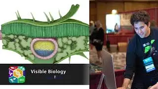 Visible Body | Visual Learning for Life Science Courses