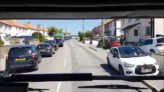 Blue light response