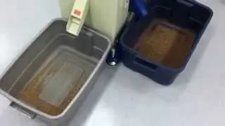 Satake FMS-2000 Sorting Clover Seeds
