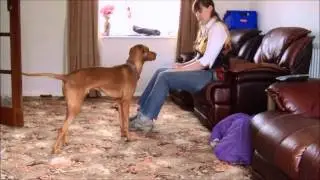 How To Teach: Down Using A Clicker