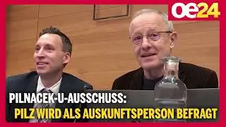Pilnacek-U-Ausschuss: Pilz wird als Auskunftsperson befragt