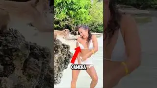 Top 5 Most Aggressive Monkey Ever Caught On Camera!😱🫨