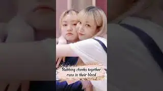 #Woollim rubbing cheeks together #kpop