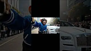 car driving monkey  #gemini #trendingviral #comedy #funny #duet #fun
