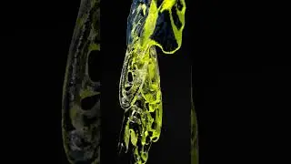 Abstract Water #cinema4d #redshift #cgi #motiondesign #water #abstract #3dabstract