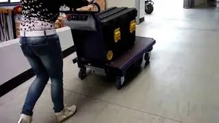 M15 Multi-Purpose Electric Platform Cart