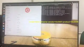How to control a device with UC232A in Linux