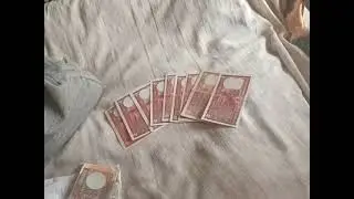 2 Rs Tiger Notes | Available on IndiaMART