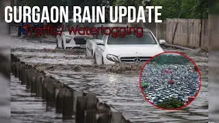 Rainfall Update : Gurgaon 10 July 2025