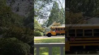 Flying school bus