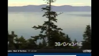 Upload your video   YouTube43]