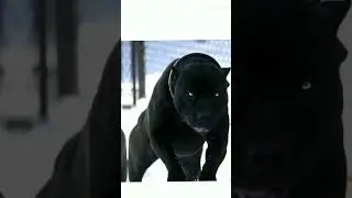 10 de dezembro de 2022