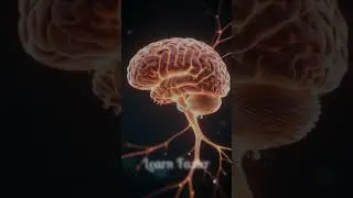 How Your Brain Quietly Changes Memories #Shorts #YouTubeShorts  #Learning #StudentLife #AIEducation