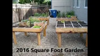 Our First Square Foot Garden!