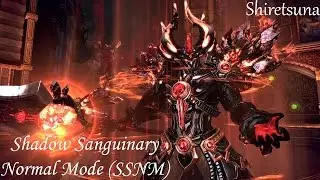 TERA - Slayer | Shadow Sanguinary (SSNM)