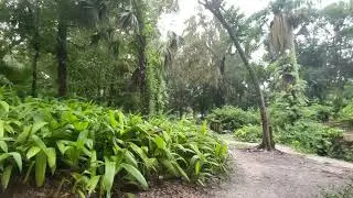 Walk with me thru Dickson Azalea Park in Orlando, FL