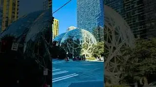 The Spheres | Amazon Headquarters | Seattle, WA #amazon #office #rainforest #plants #animals #nature