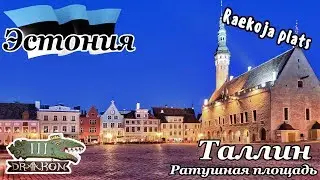 [Таллин] ч.2: Ратушная площадь, средневековая корчма III Draakon и симпатичные эстонки
