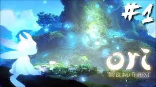 Let's Play Ori And The Blind Forest: Definitive Edition | Part 1