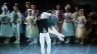 Tchaikovsky - Il valzer dei fiocchi di neve